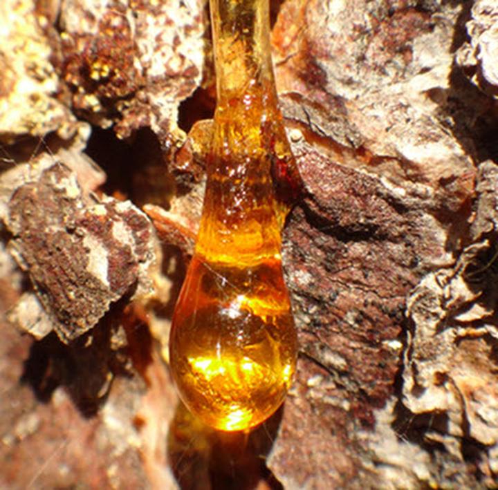 Usuwanie plam z żywicy