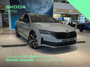 Skoda Octavia 2: Najlepszy wybór silnika diesla dla oszczędnych kierowców