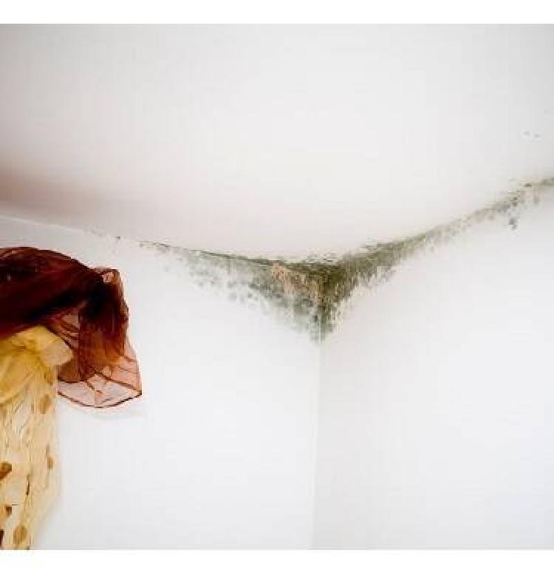 Naturalne środki na grzyba