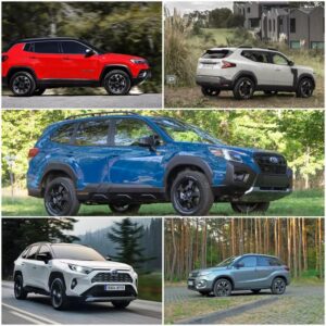 SUV-y z pewnością – wybierz auto z historią i sprawdzonym przebiegiem