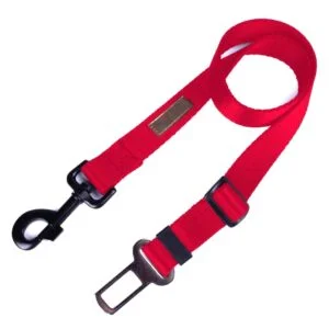 Jak skutecznie zapiąć środkowy pas bezpieczeństwa i uniknąć najczęstszych błędów w aucie