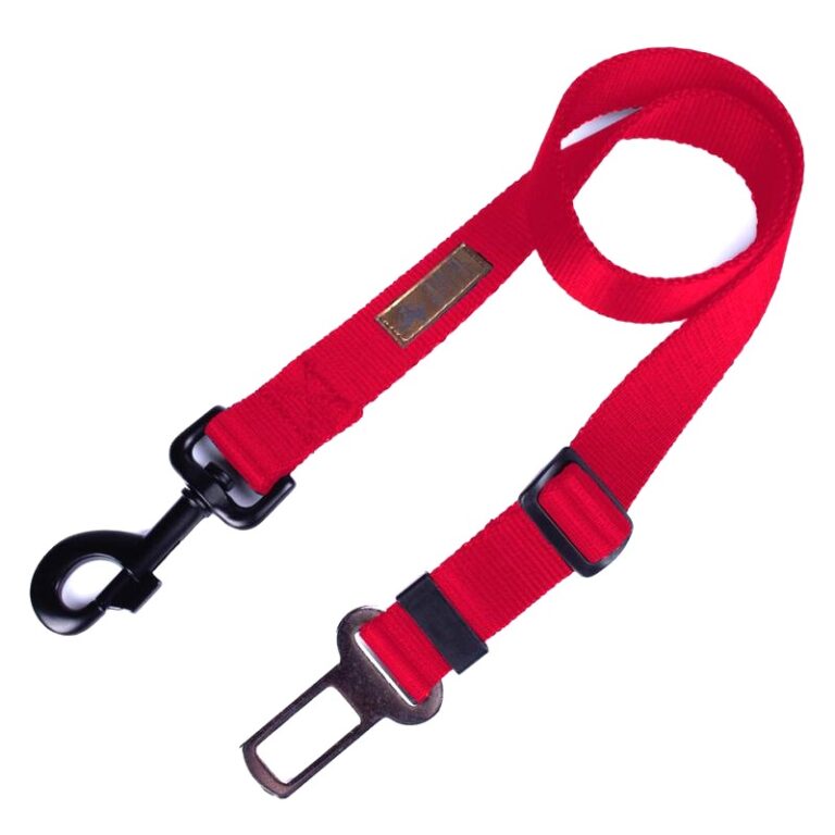 Jak skutecznie zapiąć środkowy pas bezpieczeństwa i uniknąć najczęstszych błędów w aucie